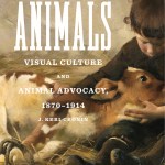 art for animals