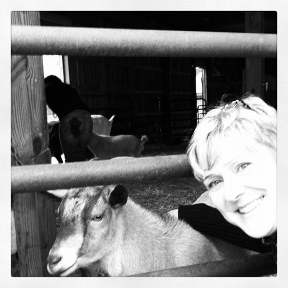 clover and JL