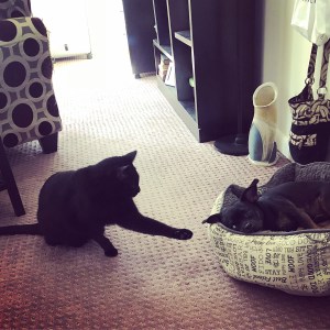 Oliver and Harry